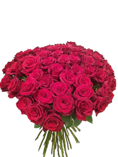 Raudonų rožių puokštė (101 rožė)
