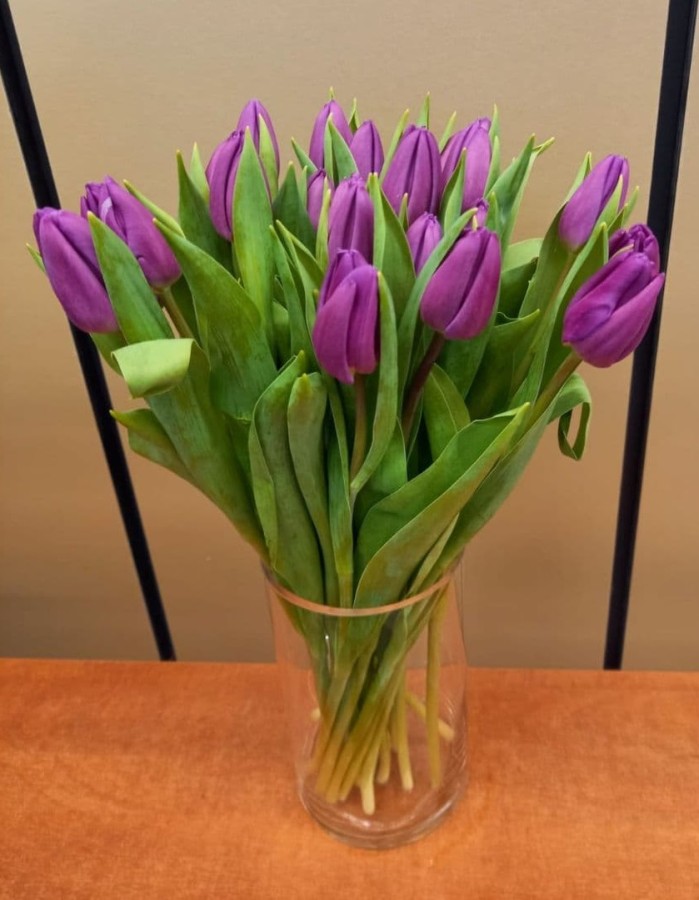 Violetinės tulpės